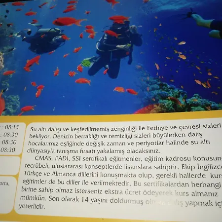 Venus Apart Oludeniz 费特希耶