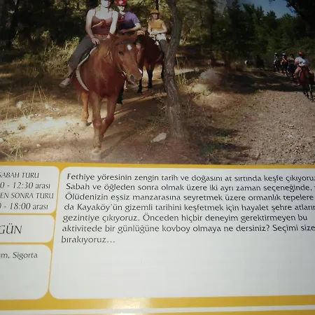 Venus Apart Oludeniz Daire
